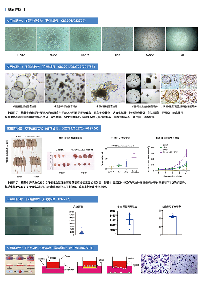 基質(zhì)膠產(chǎn)品宣傳單頁-背面 - 副本.png